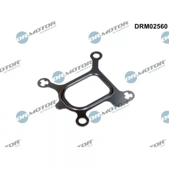 Joint, bride de liquide de refroidissement Dr.Motor DRM02560