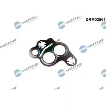 Joint, vanne EGR Dr.Motor DRM02561