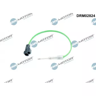 Capteur, température des gaz Dr.Motor DRM02824
