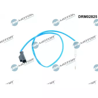Capteur, température des gaz Dr.Motor DRM02825
