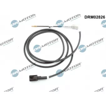 Capteur, température des gaz Dr.Motor DRM02826
