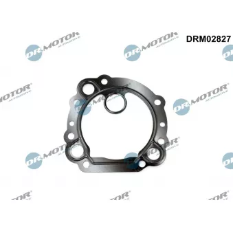 Joint, vanne EGR Dr.Motor DRM02827