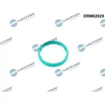 Joint, radiateur d'huile Dr.Motor DRM02829