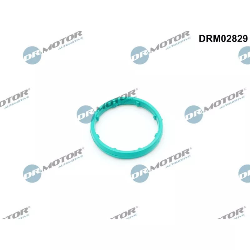 Joint, radiateur d'huile Dr.Motor DRM02829