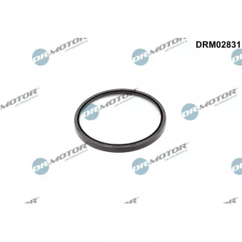 Bague d'étanchéité, vilebrequin Dr.Motor DRM02831