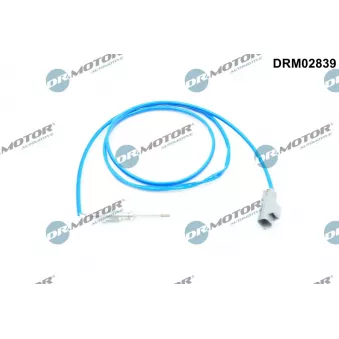 Capteur, température des gaz Dr.Motor DRM02839