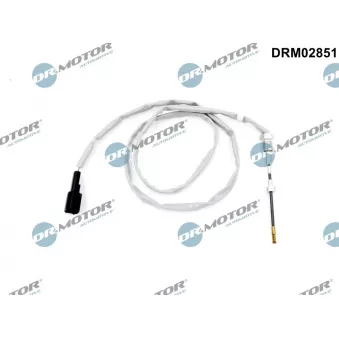 Capteur, température des gaz Dr.Motor DRM02851