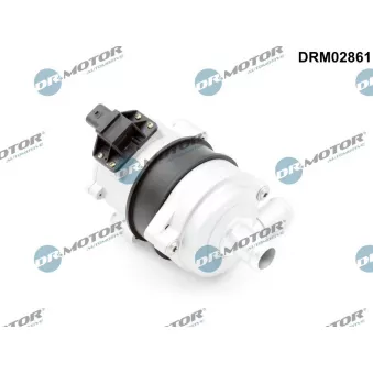 Pompe à eau auxiliaire (circuit d'eau de refroidiss) Dr.Motor DRM02861