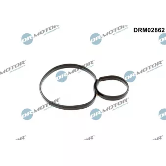 Joint d'étanchéité, boîtier de filtre à huile Dr.Motor DRM02862