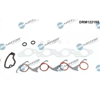 Pochette moteur complète Dr.Motor DRM12219S