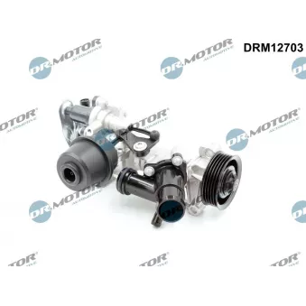 Pompe à eau, refroidissement du moteur Dr.Motor DRM12703