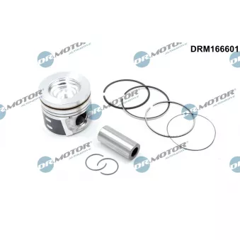 Piston Dr.Motor DRM166601