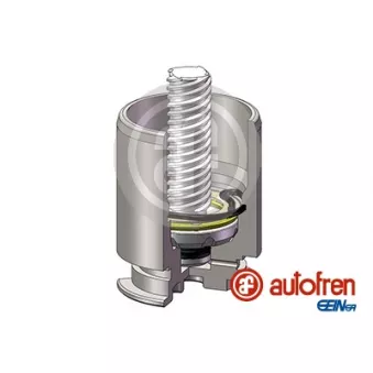 Piston, étrier de frein AUTOFREN SEINSA D025422RK