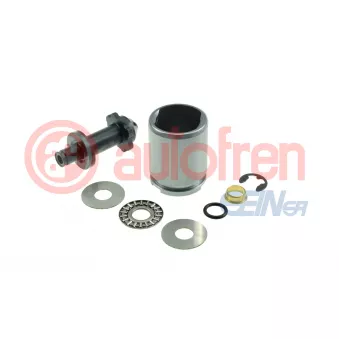 Piston, étrier de frein AUTOFREN SEINSA D025536K1