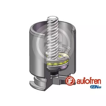 Piston, étrier de frein AUTOFREN SEINSA D02554RK