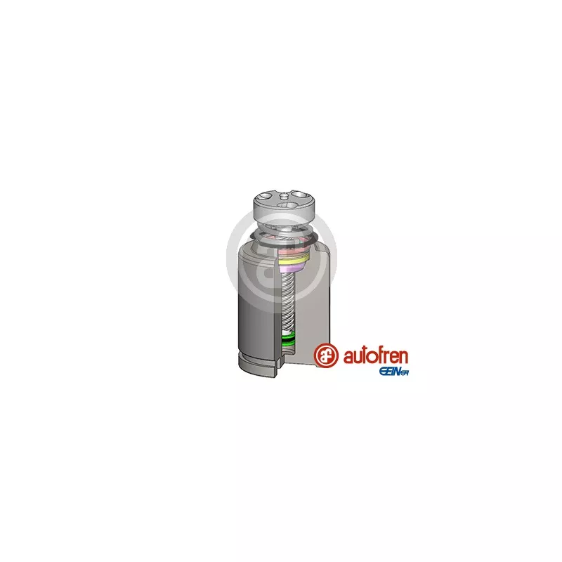 Piston, étrier de frein AUTOFREN SEINSA D025583LK