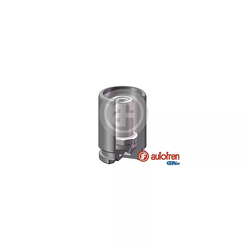 Piston, étrier de frein AUTOFREN SEINSA D025602K