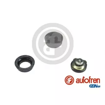 Kit de réparation, maître-cylindre de frein AUTOFREN SEINSA D1040