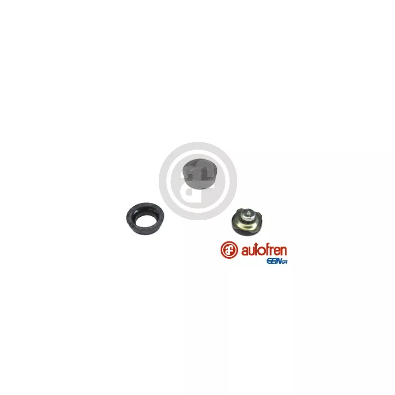 Kit de réparation, maître-cylindre de frein AUTOFREN SEINSA D1040