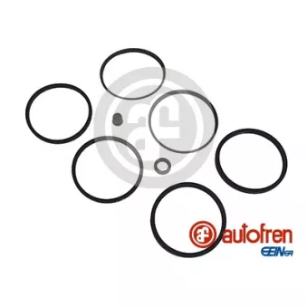 Kit de réparation, étrier de frein AUTOFREN SEINSA D4079