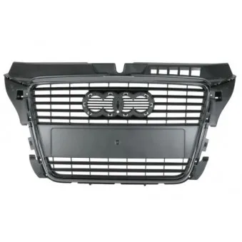 Grille de radiateur BLIC 6502-07-0026996Q