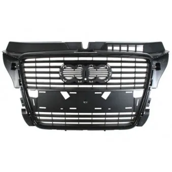 Grille de radiateur BLIC 6502-07-0026999Q