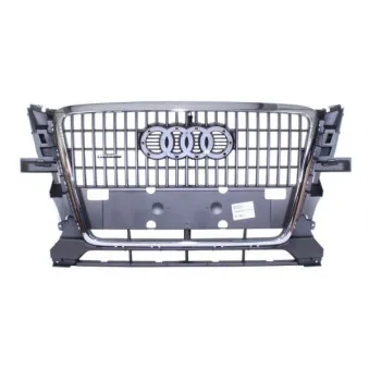 Grille de radiateur BLIC 6502-07-0035990P