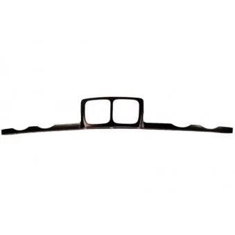 Cadre, grille de radiateur BLIC 6502-07-0057991P