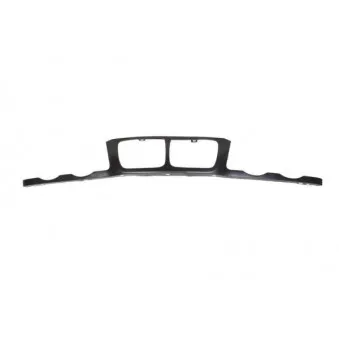 Cadre, grille de radiateur BLIC 6502-07-0057992P