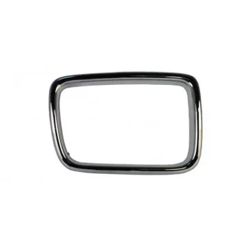 Cadre, grille de radiateur avant droit BLIC 6502-07-0057998P