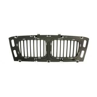 Grille de radiateur BLIC 6502-07-0057999P
