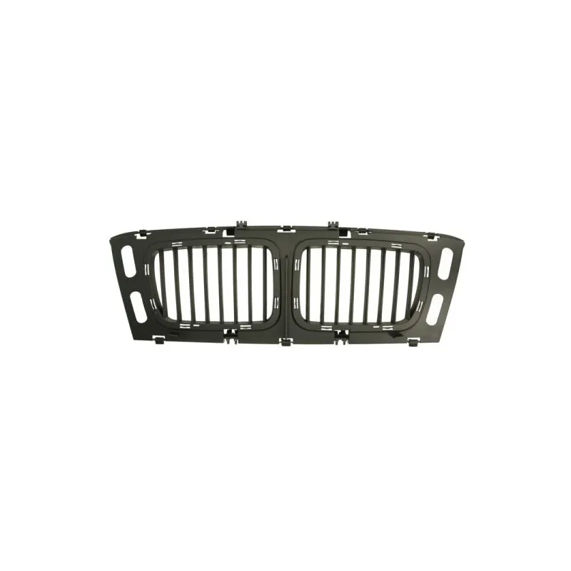 Grille de radiateur BLIC 6502-07-0057999P