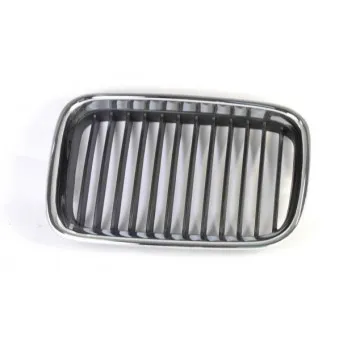 Grille de radiateur BLIC 6502-07-0060991P