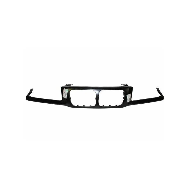 Cadre, grille de radiateur BLIC 6502-07-0060994P