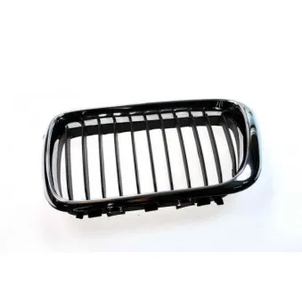 Grille de radiateur BLIC