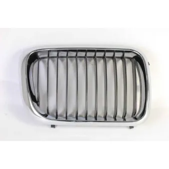 Grille de radiateur BLIC