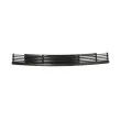 Grille de ventilation, pare-chocs BLIC 6502-07-0060999P - Visuel 2