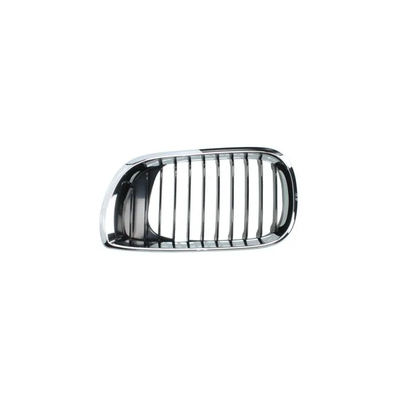 Grille de radiateur BLIC 6502-07-0061991AP