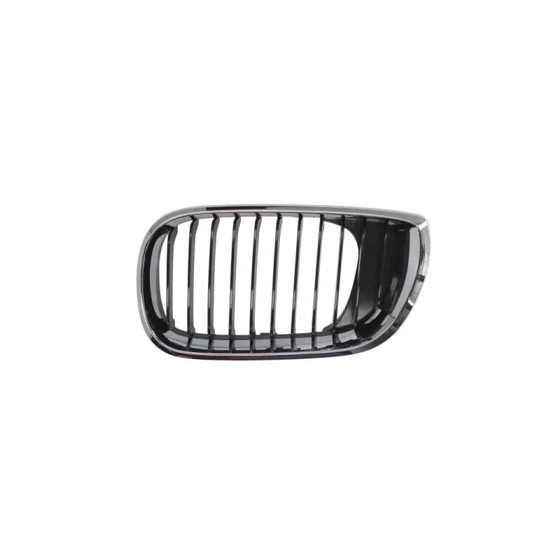Grille de radiateur BLIC 6502-07-0061991AQ
