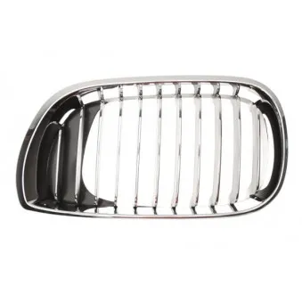 Grille de radiateur BLIC 6502-07-0061991PP