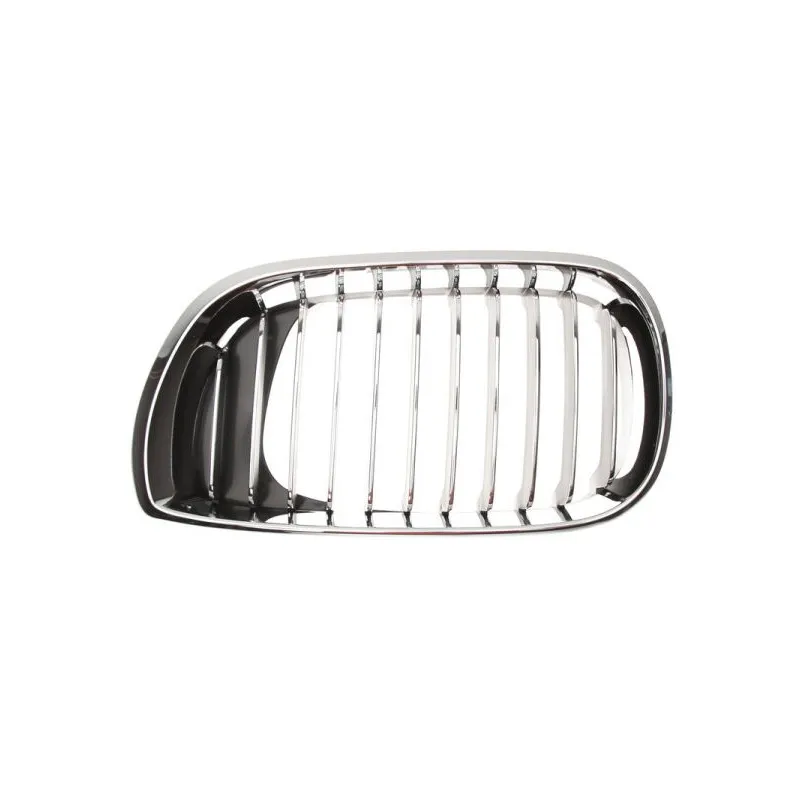 Grille de radiateur BLIC 6502-07-0061991PP