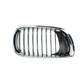 Grille de radiateur BLIC 6502-07-0061992AP
