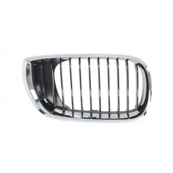 Grille de radiateur BLIC 6502-07-0061992AQ