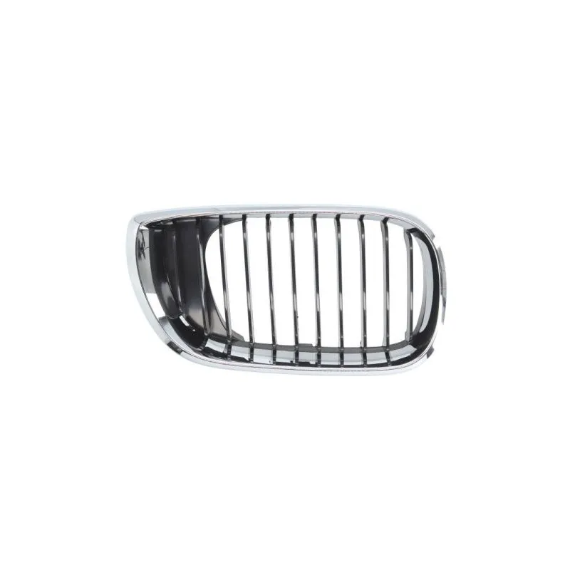 Grille de radiateur BLIC 6502-07-0061992AQ