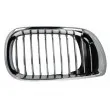 Grille de radiateur BLIC 6502-07-0061992PP - Visuel 1