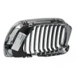 Grille de radiateur BLIC 6502-07-0061992PP - Visuel 2