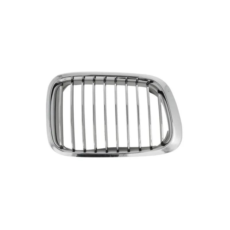 Grille de radiateur BLIC 6502-07-0061992Q