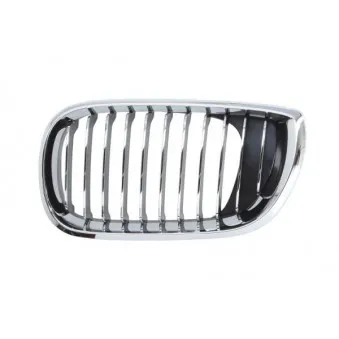 Grille de radiateur BLIC 6502-07-0061993AQ