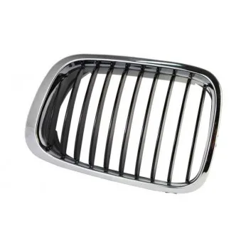 Grille de radiateur avant gauche BLIC 6502-07-0061993P