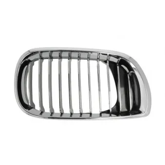 Grille de radiateur BLIC 6502-07-0061994AQ